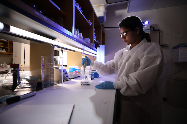 scientist looking in microscope